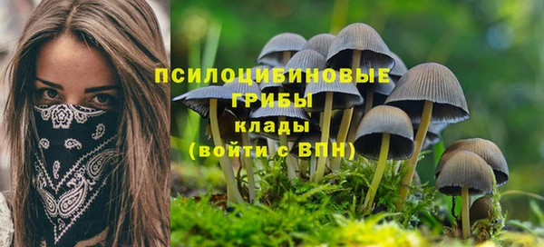 мяу мяу мука Баксан