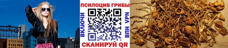 Галлюциногенные грибы ЛСД Большой Камень