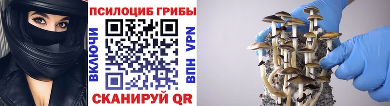 Галлюциногенные грибы Cubensis  Большой Камень 